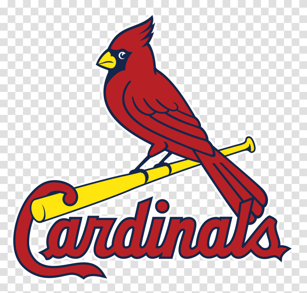 St Louis Cardinals, Animal, Bird, Logo Transparent Png