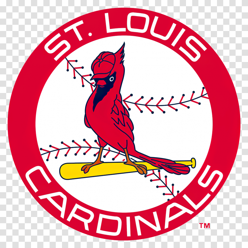 St Louis Cardinals, Bird, Animal, Logo Transparent Png