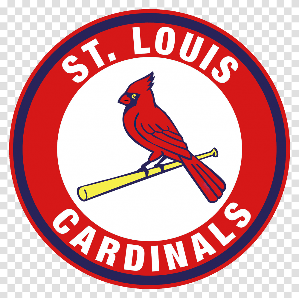 St Louis Cardinals, Bird, Animal, Logo, Symbol Transparent Png