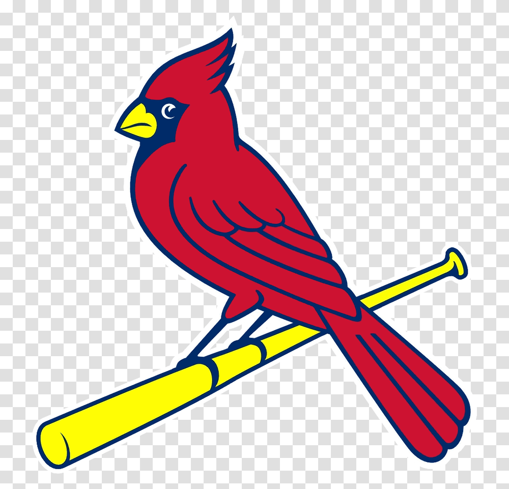 St Louis Cardinals Bird On Bat, Animal, Hammer, Tool, Jay Transparent Png