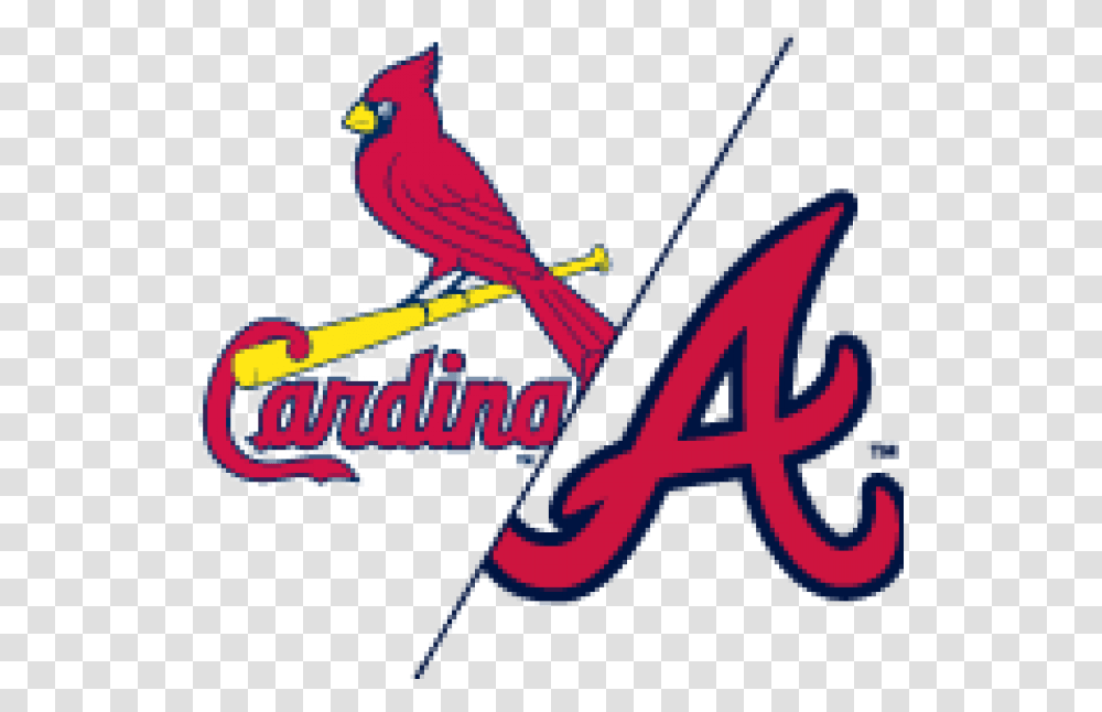 St Louis Cardinals Braves Vs Cardinals 2019, Animal, Bird Transparent Png