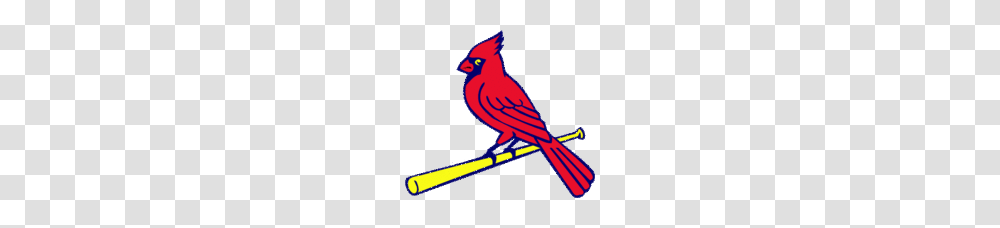 St Louis Cardinals Clip Art, Animal, Bird, Jay Transparent Png