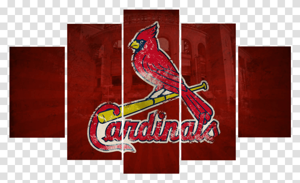 St Louis Cardinals Download St Louis Cardinals Cool Logo, Bird, Animal, Chicken, Poultry Transparent Png