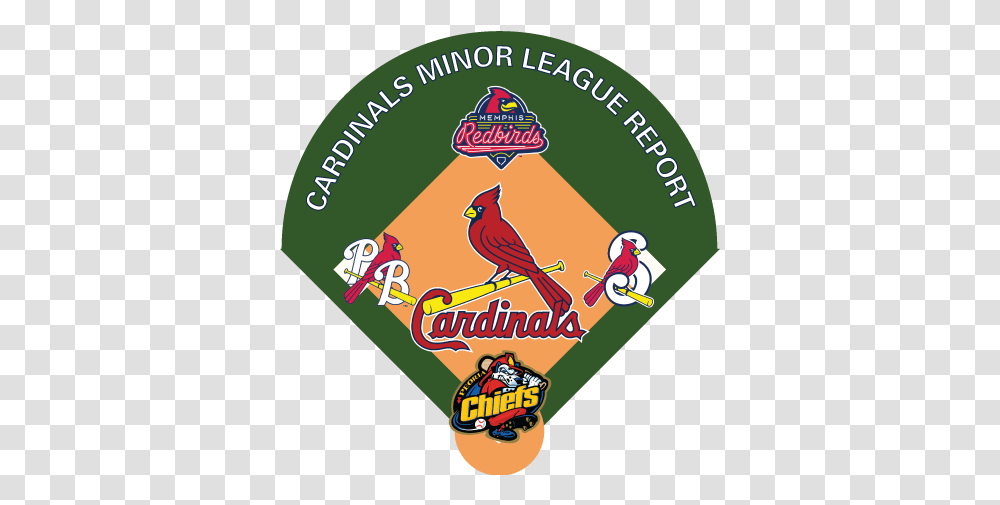 St Louis Cardinals, Label, Bird, Animal Transparent Png