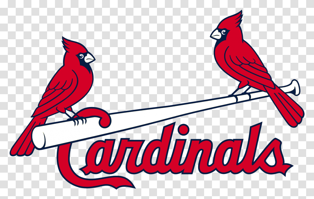 St Louis Cardinals Logo, Bird, Animal, Finch Transparent Png