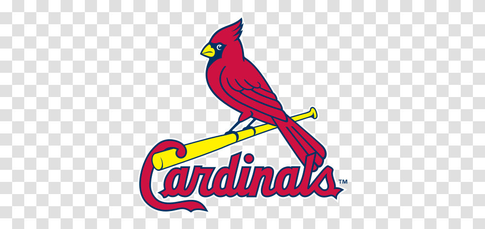 St Louis Cardinals Logo Cricut Cardinals, Animal, Bird, Jay Transparent Png