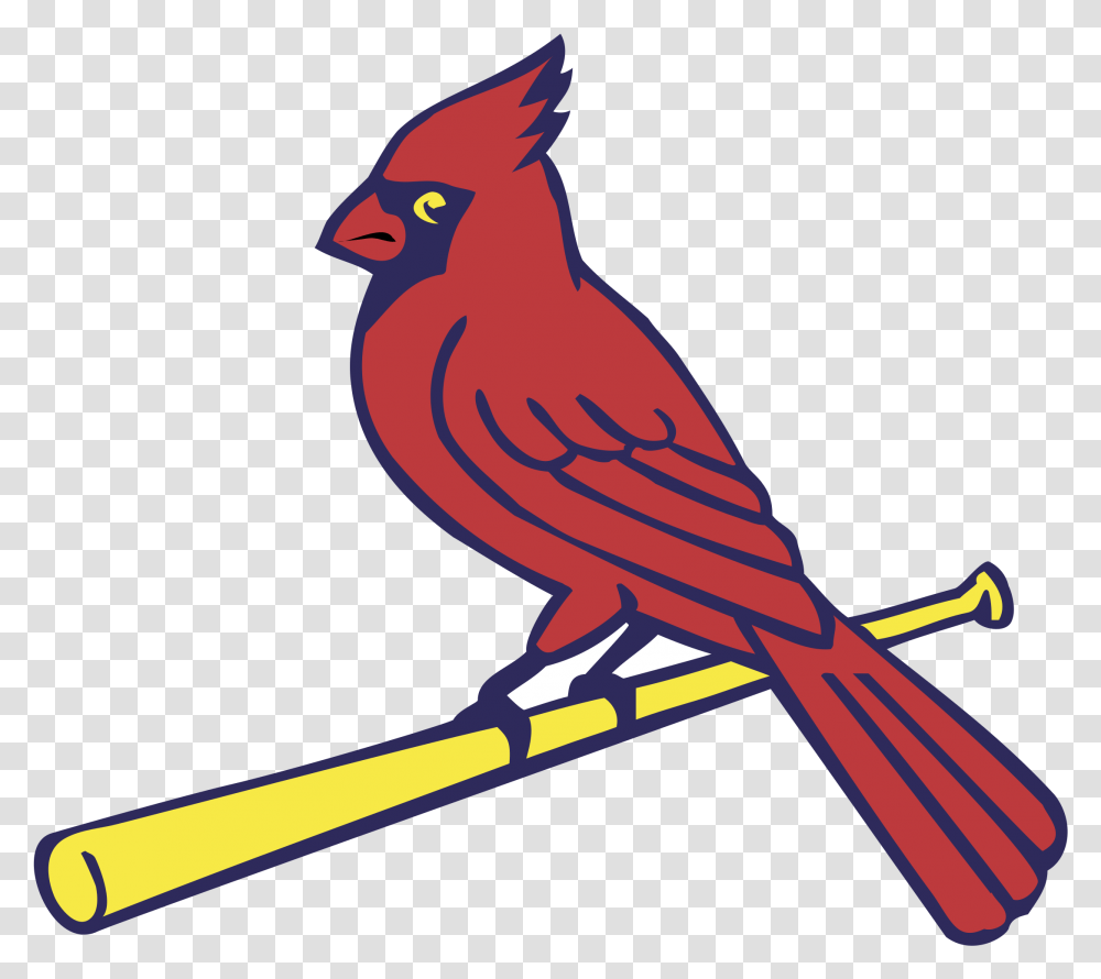 St Louis Cardinals St Louis Cardinals, Animal, Bird, Hammer, Tool Transparent Png