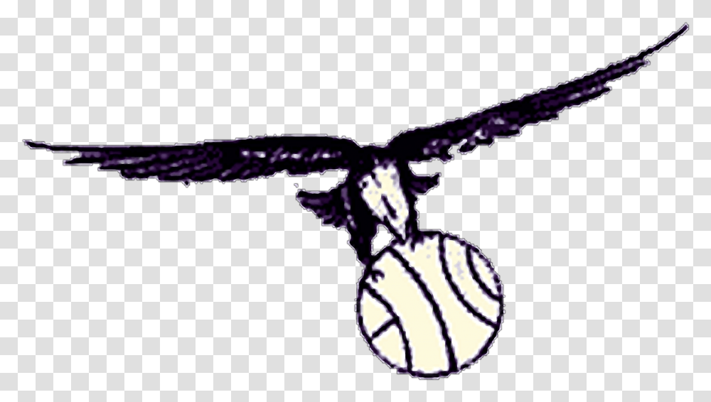 St Louis Hawks Logo, Bird, Animal, Ball Transparent Png