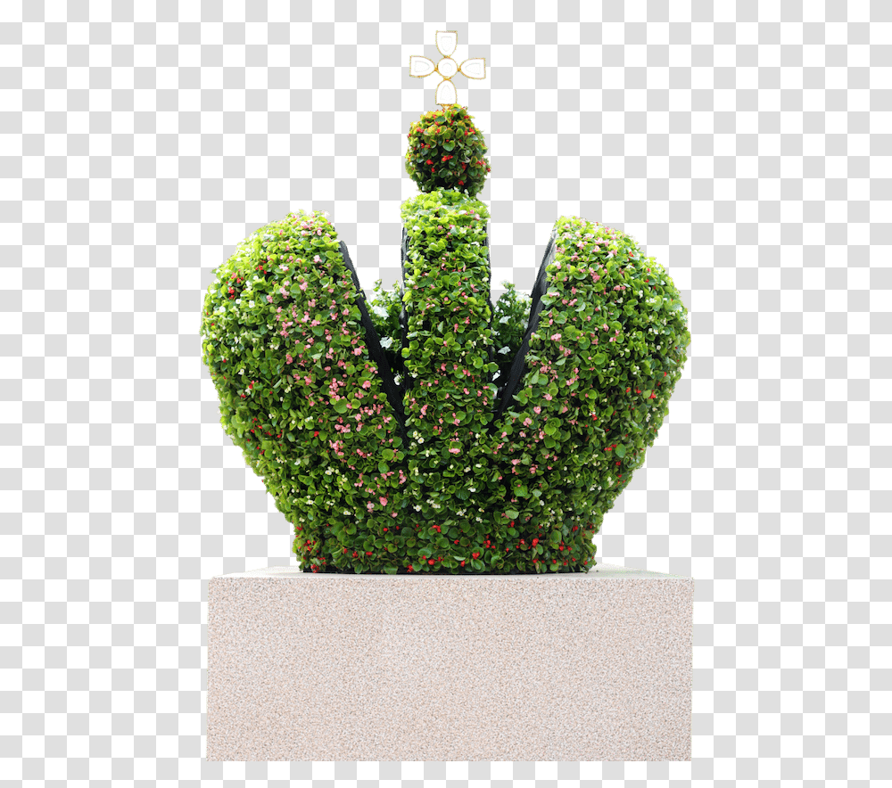 St Petersburg Gardens Houseplant, Accessories, Accessory, Crystal, Jewelry Transparent Png