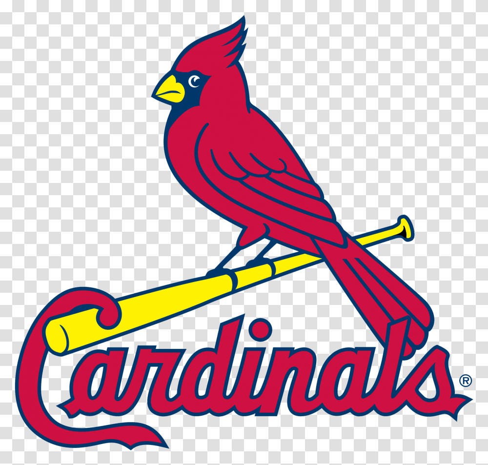 St St Louis Cardinals, Animal, Bird, Symbol, Logo Transparent Png