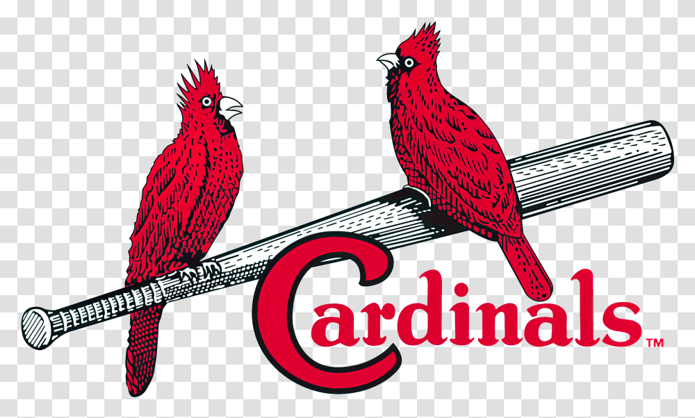 St St Louis Cardinals Logo History, Bird, Animal, Finch, Symbol Transparent Png