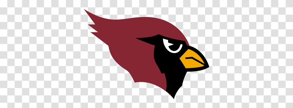 St St Louis Cardinals Nfl Logo, Animal, Mammal, Bird, Label Transparent Png