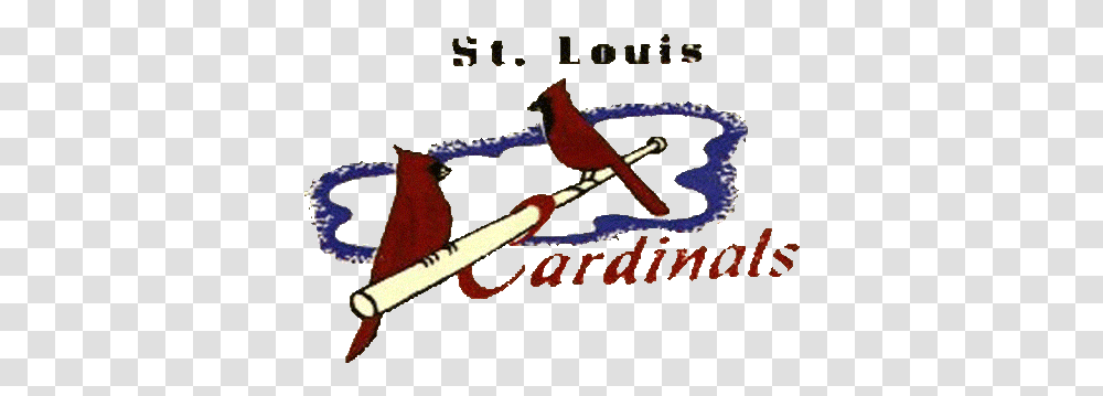 St St Louis Cardinals, Text, Animal, Bird, Art Transparent Png