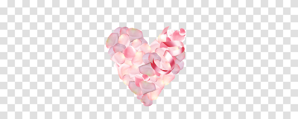 St Valentin Nature, Petal, Flower, Plant Transparent Png