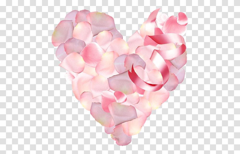 St Valentin Ptalos Color De Rosa Ptalos De Rosa, Petal, Flower, Plant, Blossom Transparent Png