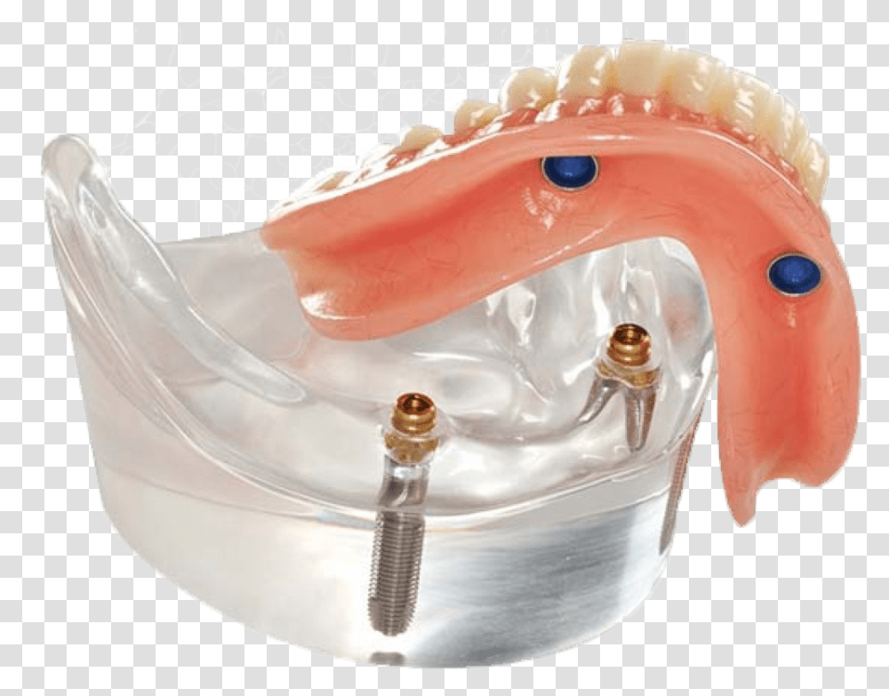 Stabilize Your Dentures And Regain Bite Strength, Teeth, Mouth, Lip, Jaw Transparent Png