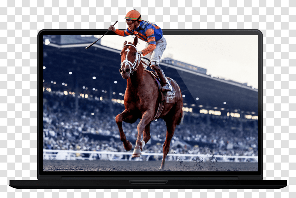 Stableduel Lcd, Horse, Mammal, Animal, Person Transparent Png