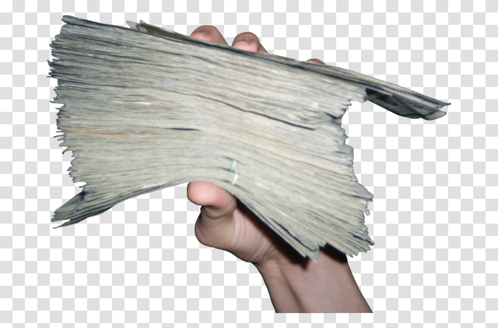 Stack Of Money, Person, Human, Bird Transparent Png