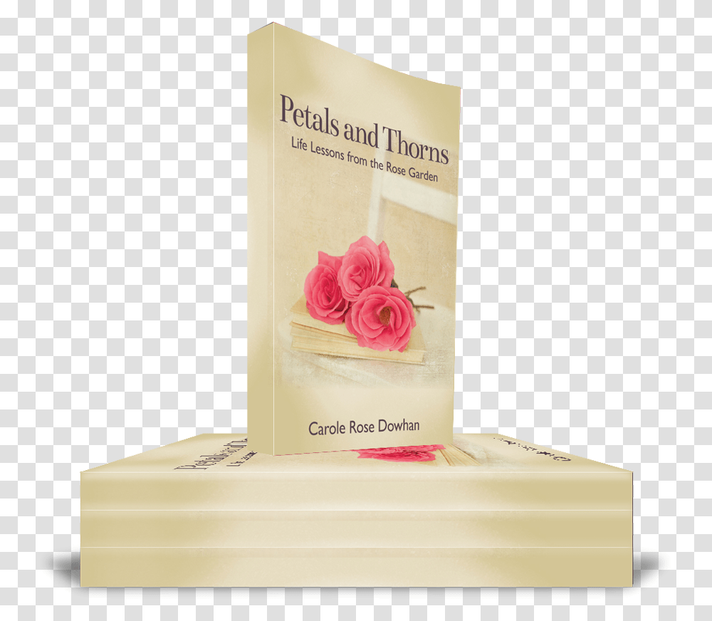 Stackedpaperback Garden Roses, Flower, Plant, Blossom, Petal Transparent Png