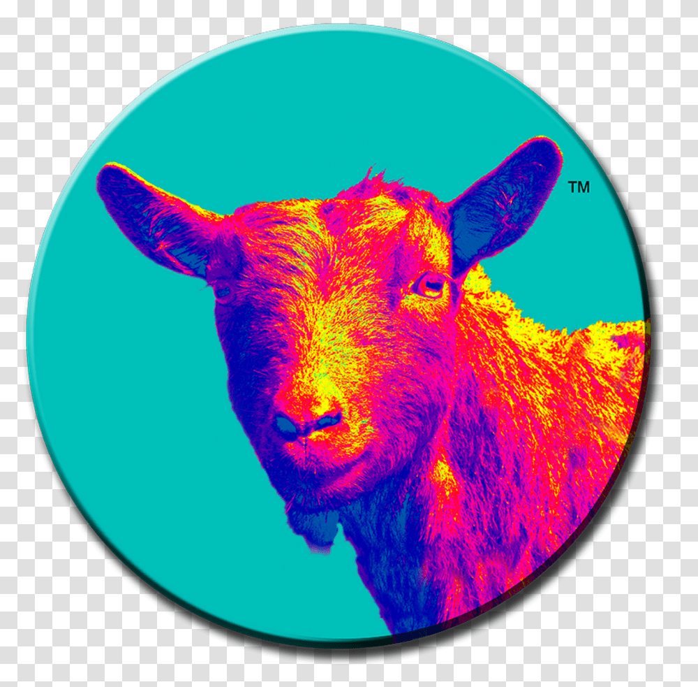 Stacy Goat Pins No Type 10 Sheep, Sphere, Astronomy Transparent Png
