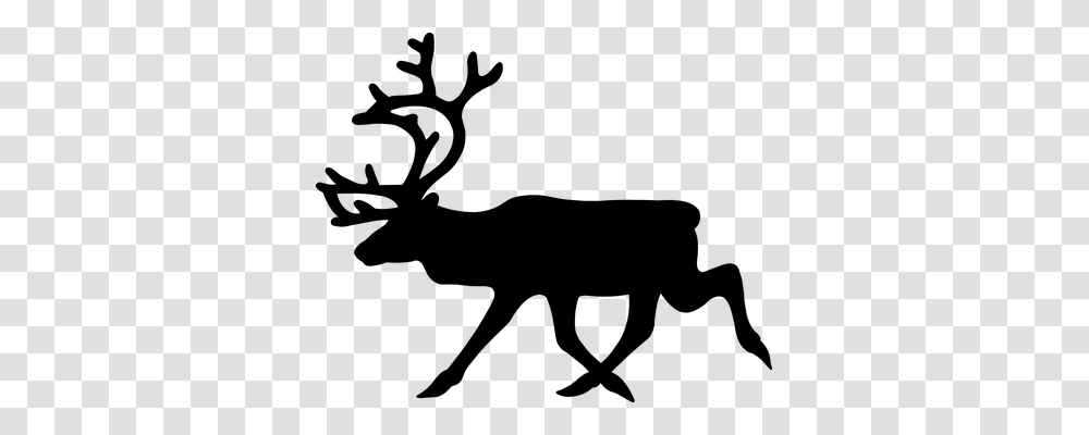 Stag Animals, Gray, World Of Warcraft Transparent Png