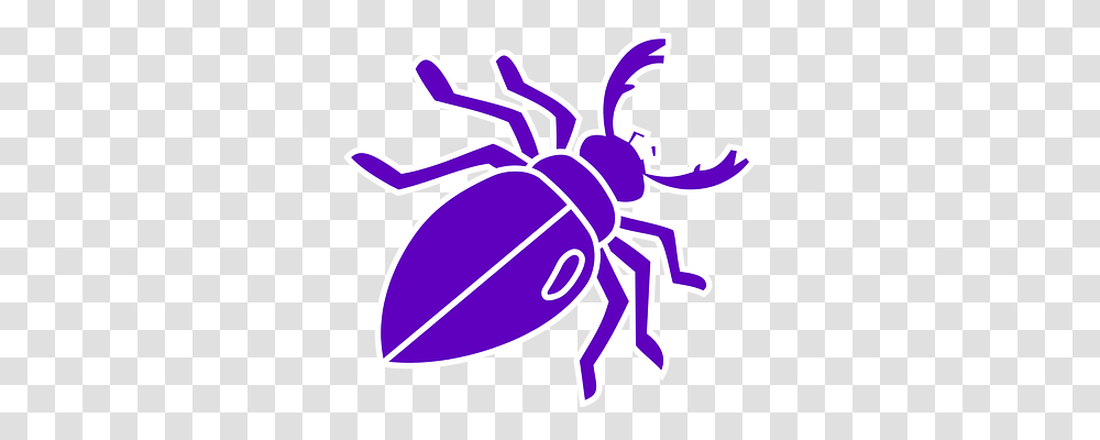 Stag Beetle Animals, Outdoors, Invertebrate, Insect Transparent Png