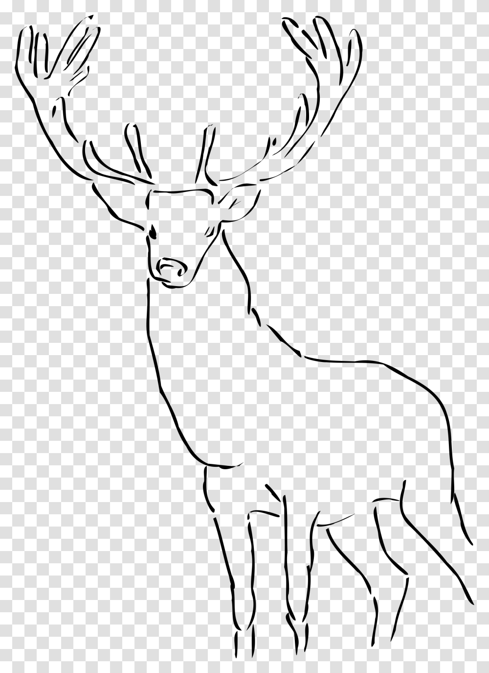Stag Clipart Drawn Reindeer Images Black And White, Gray, World Of Warcraft Transparent Png