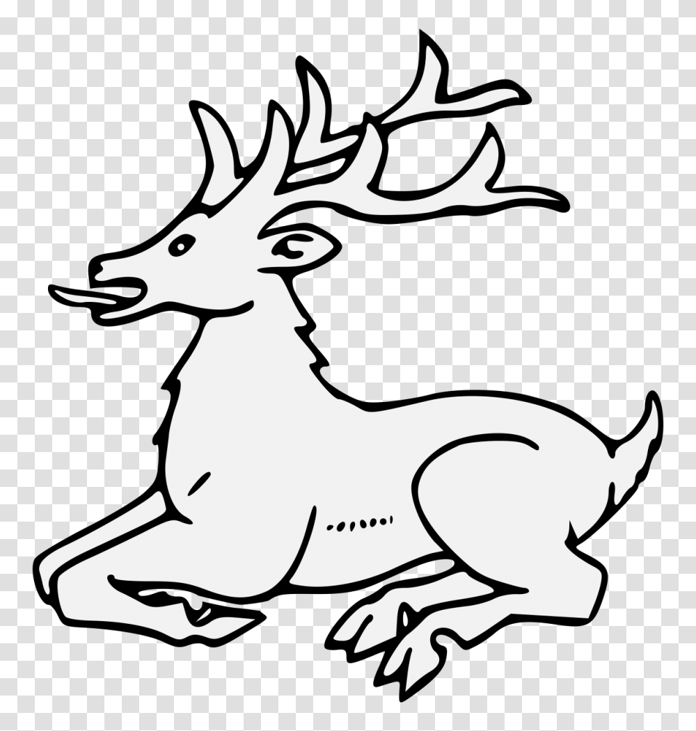 Stag, Deer, Wildlife, Mammal, Animal Transparent Png