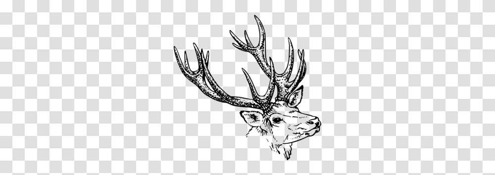 Stag Head Clip Art, Gray, World Of Warcraft Transparent Png