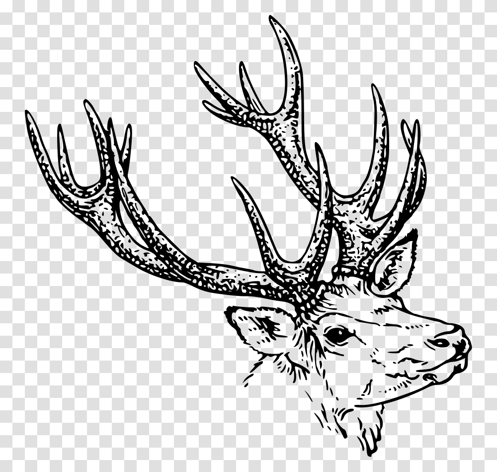 Stag Head Clip Arts For Web, Gray, World Of Warcraft Transparent Png