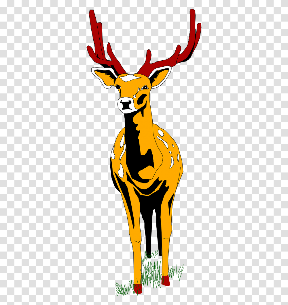 Stag Vector Wildlife Deer Front View Cartoon, Mammal, Animal, Kangaroo, Antelope Transparent Png
