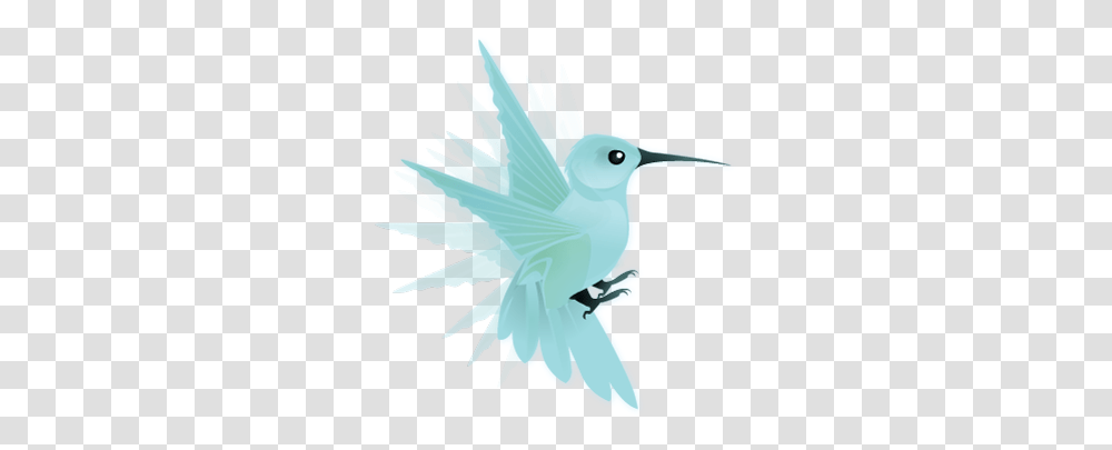 Stages Of Social Media 140 Characters Bee Hummingbird, Beak, Animal, Jay, Flying Transparent Png