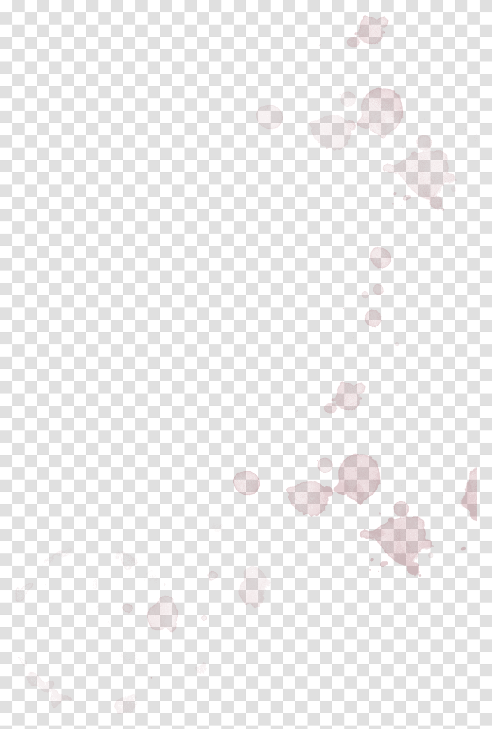 Stain Download Paper, Petal, Flower, Plant, Blossom Transparent Png