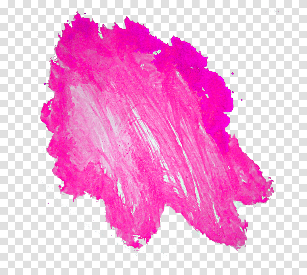 Stain Pink Oil Paint Swatch, Petal, Flower, Plant, Blossom Transparent Png