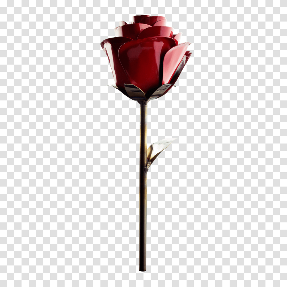 Stainless Rose Fire Engine Red Tailored Group, Lamp, Flower, Plant, Blossom Transparent Png