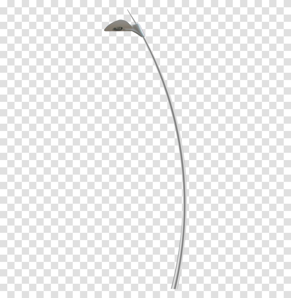 Stainless Steel Self Bending Light Pole Lamp, Plant, Flower, Blossom, Anther Transparent Png