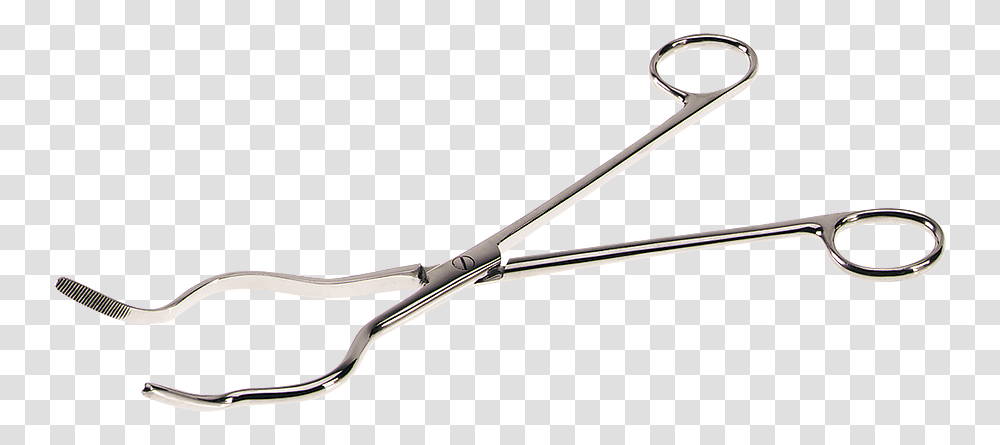 Stainless Steel Tongs Tool, Weapon, Weaponry, Blade, Scissors Transparent Png
