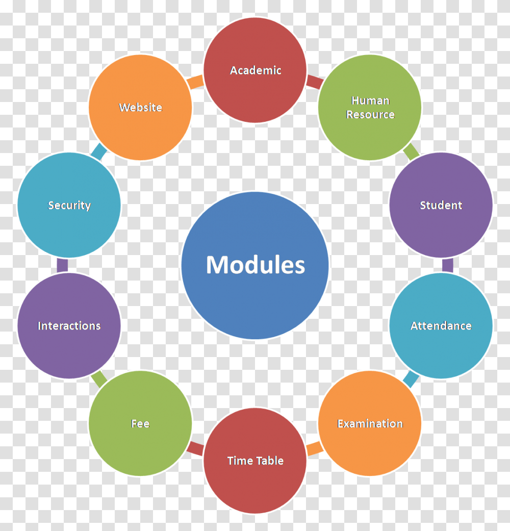 Stakeholders Of A Project, Diagram, Plot, Tree, Plant Transparent Png