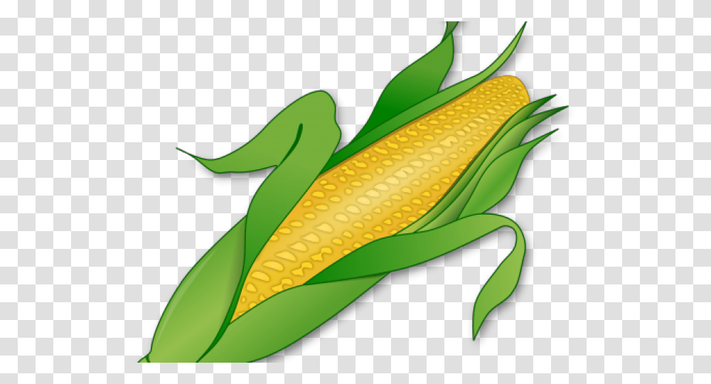 Stalk Clipart Cartoon, Plant, Corn, Vegetable, Food Transparent Png