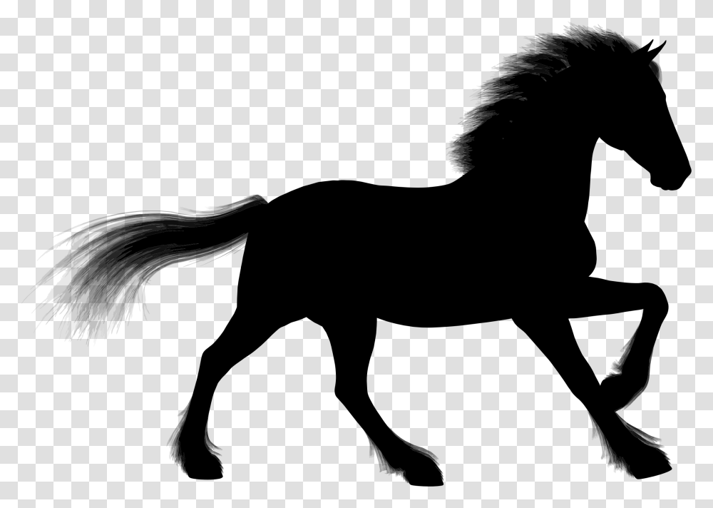 Stallion Arabian Horse Foal Silhouette Clip Art Silhouette Of Animals, Gray, World Of Warcraft Transparent Png