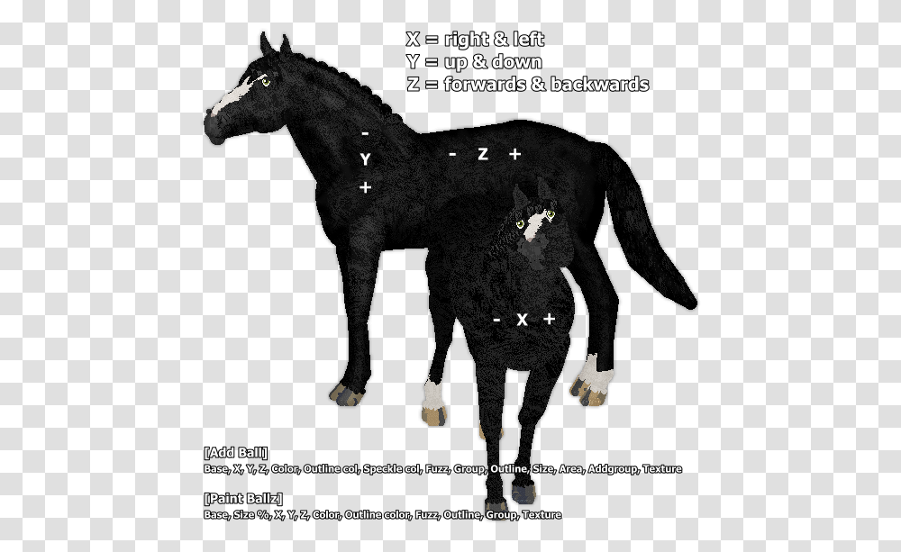 Stallion, Horse, Mammal, Animal, Advertisement Transparent Png