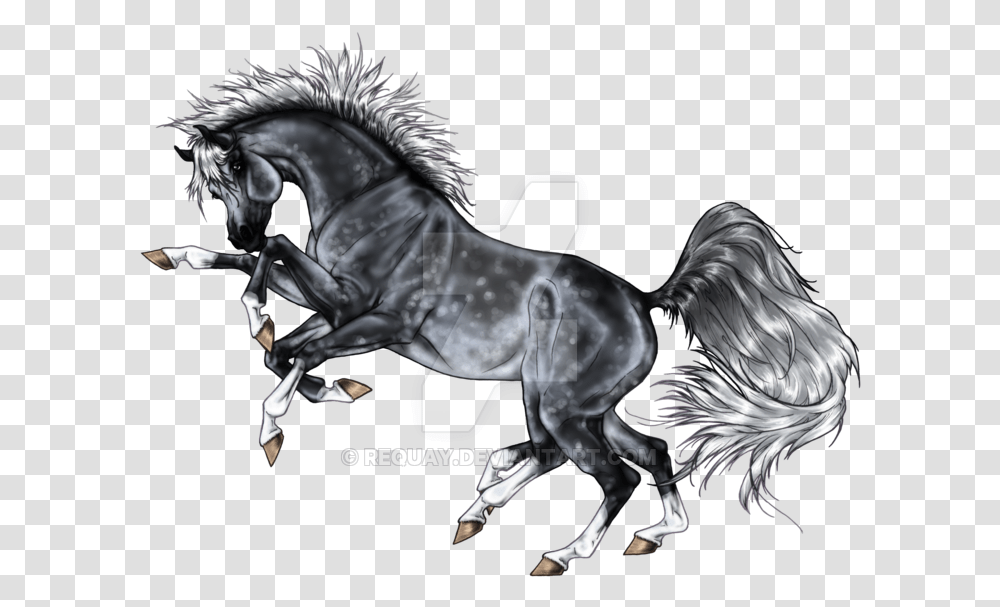 Stallion, Horse, Mammal, Animal, Dragon Transparent Png