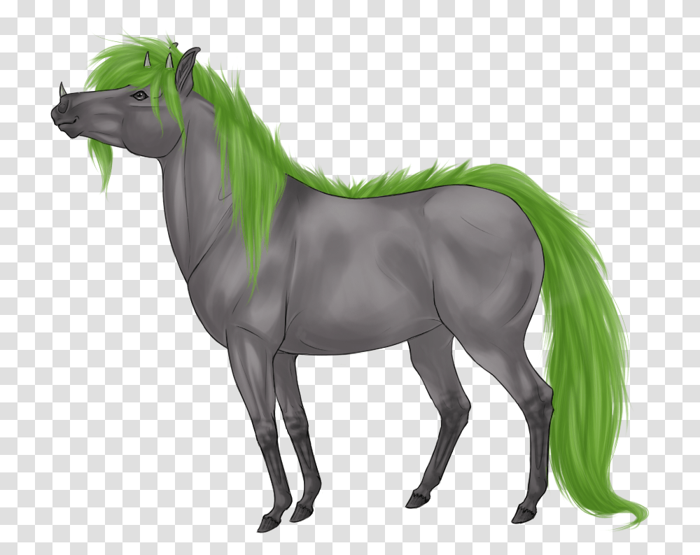 Stallion, Horse, Mammal, Animal, Foal Transparent Png