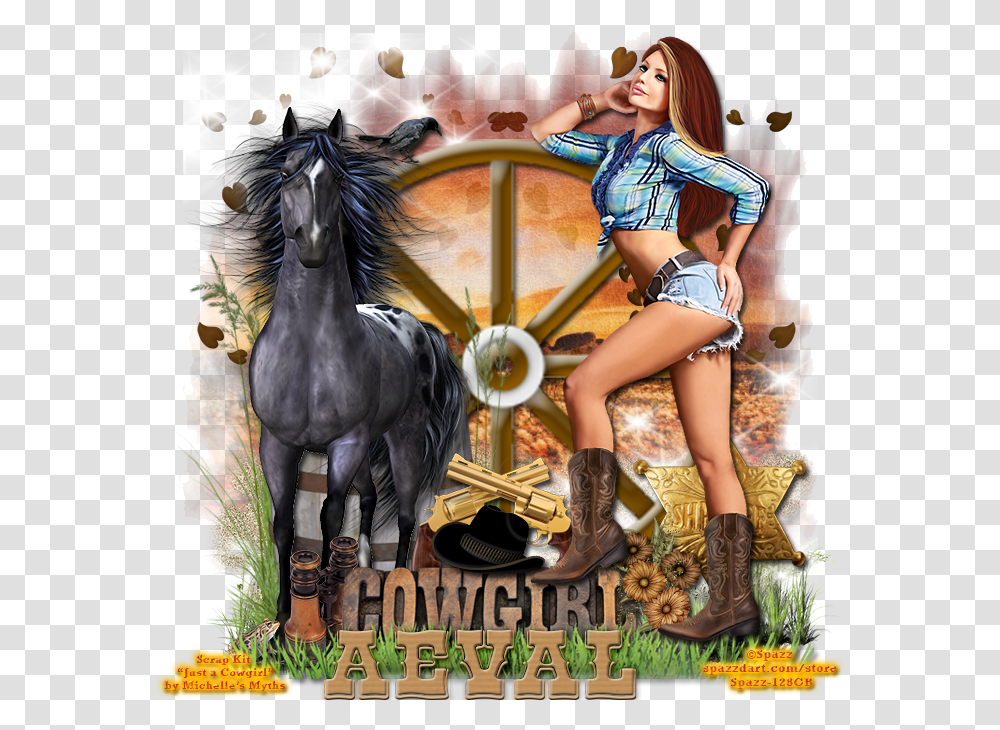 Stallion, Horse, Mammal, Animal, Person Transparent Png