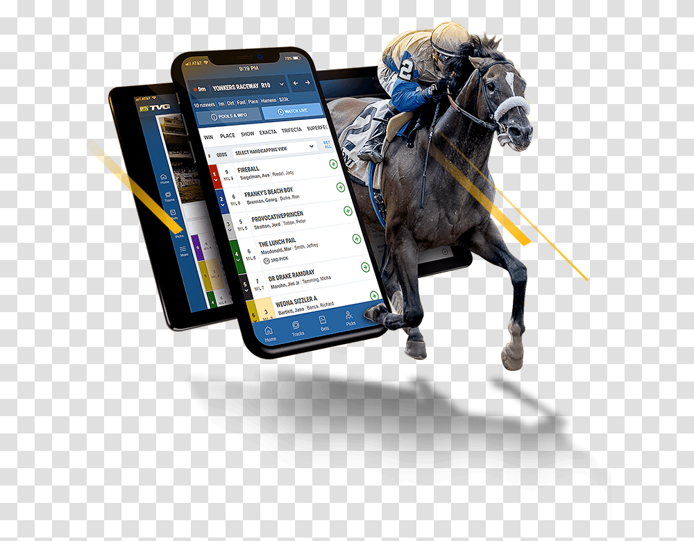 Stallion, Mobile Phone, Electronics, Cell Phone, Horse Transparent Png