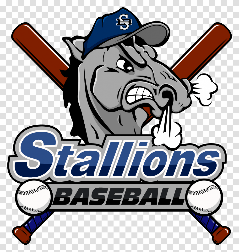 Stallions Baseball Club News Stallions Baseball Logo, Team Sport, Baseball Bat, Ballplayer, Advertisement Transparent Png
