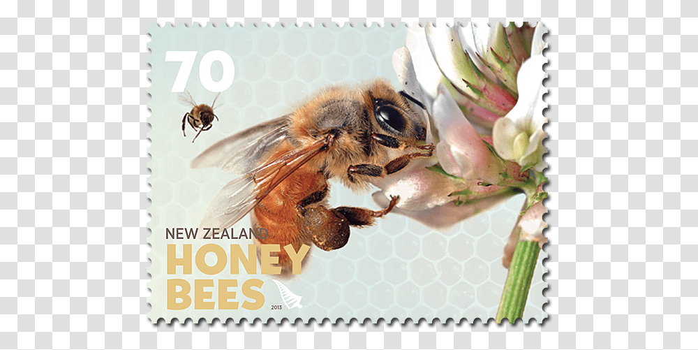 Stamp Bee Postage Stamps, Honey Bee, Insect, Invertebrate, Animal Transparent Png