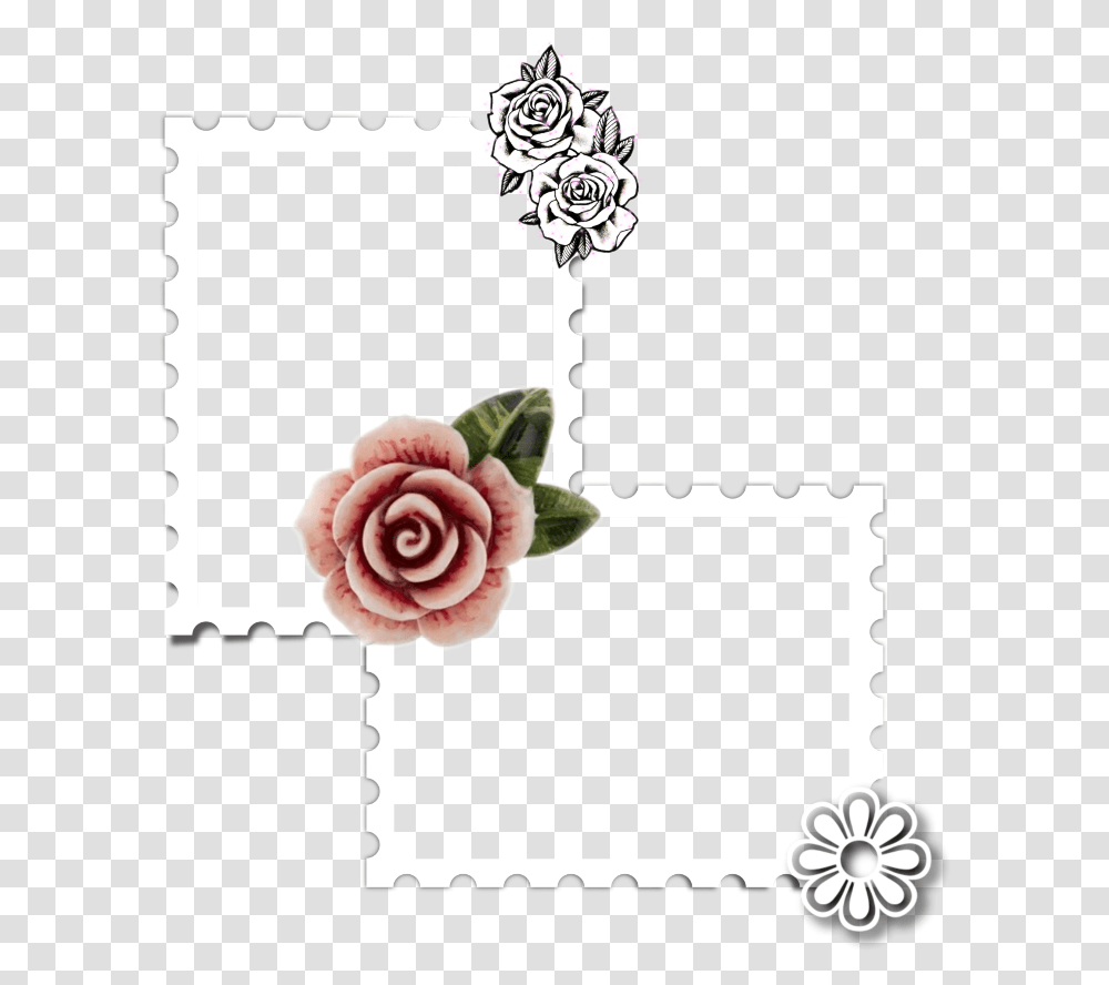 Stamp Frame Insert Photoframe Empty Garden Roses, Envelope, Mail, Postage Stamp, Greeting Card Transparent Png