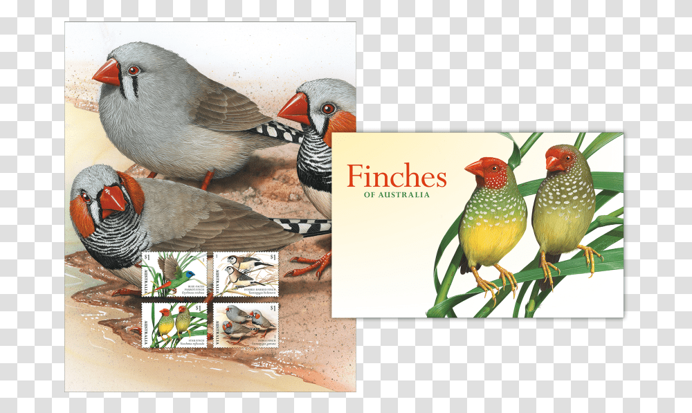Stamp Pack Stamp Pack Australia Post Stamps 2018, Bird, Animal, Finch, Quail Transparent Png