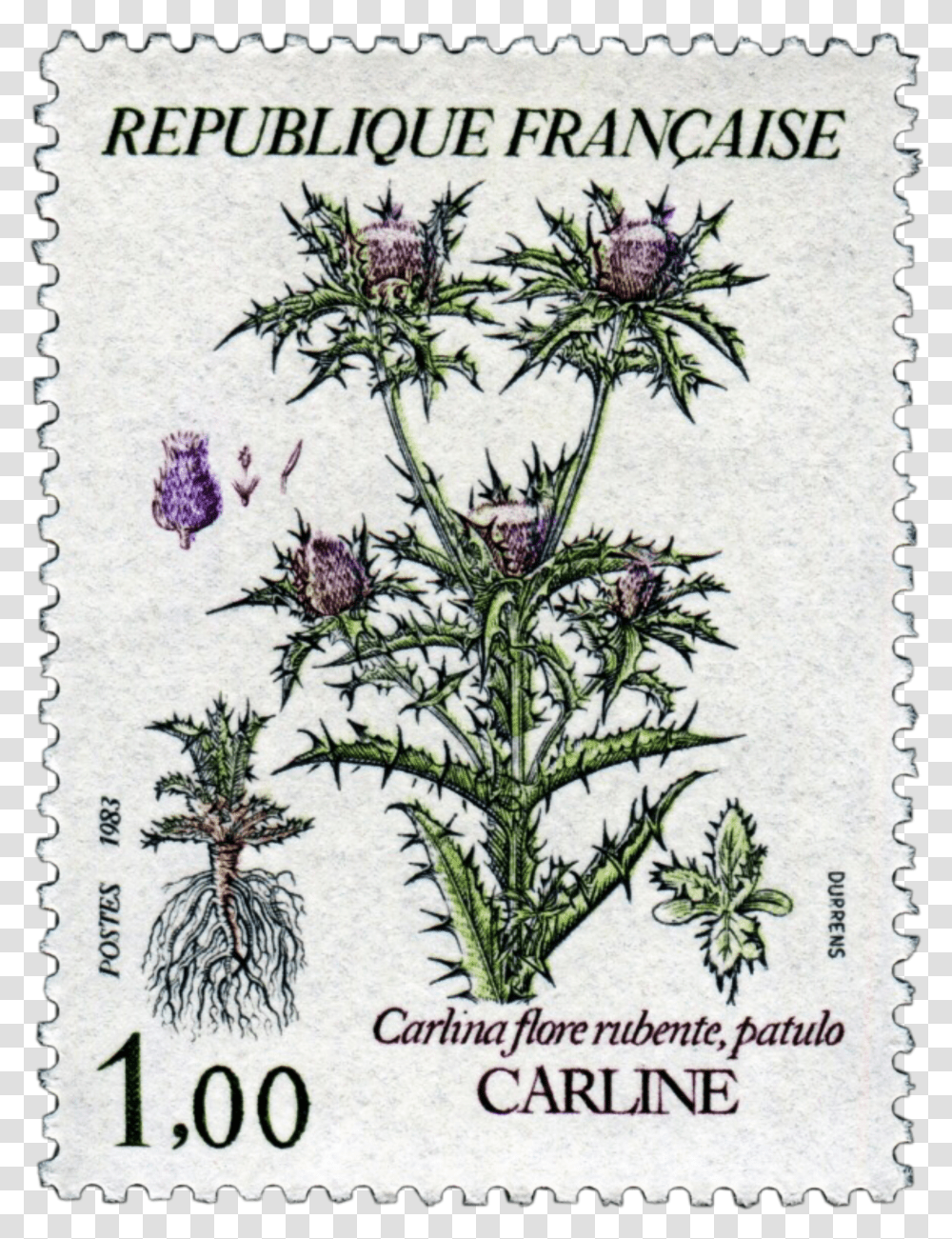 Stamp Stamps Flower Flowers Pngs Pngedit France Transparent Png
